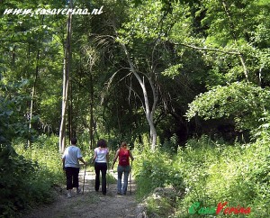 fattoria-ascoli5 - Copy